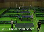 stolni tenis