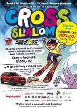 cross slalom