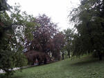 Arboretum Sola gratia, Bystřice pod Hostýnem