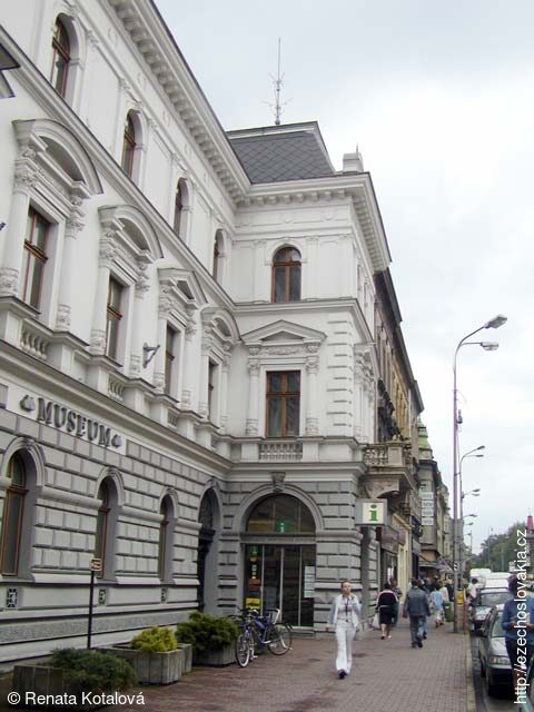 Regionální informační centrum při Muzeu Těšínska Český Těšín